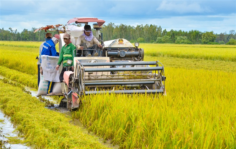 Nông nghiệp bền vững là gì?