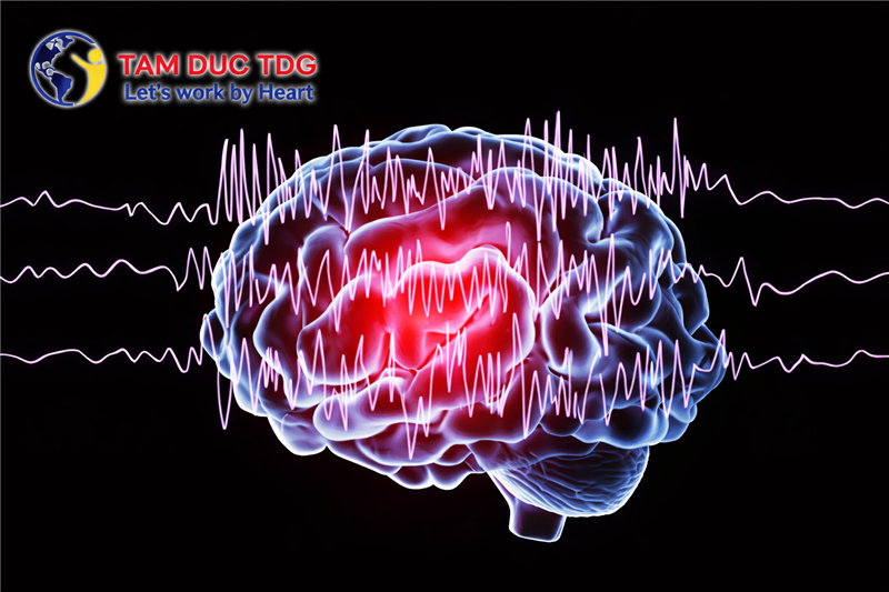 🧠 ỨNG DỤNG ĐO ĐIỆN NÃO ĐIỆN NÃO ĐỒ EEG – AI PHÂN TÍCH – PBM CHĂM SÓC SỨC KHỎE NÃO BỘ HIỆN ĐẠI
