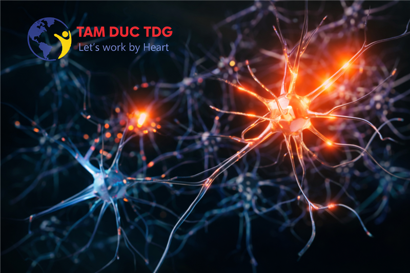 🧠⚠️ RỐI LOẠN HỆ THẦN KINH THỰC VẬT