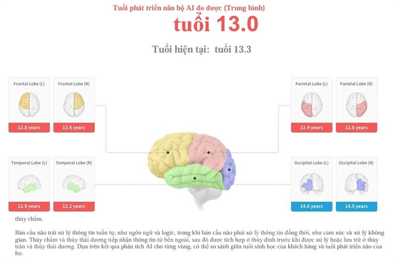 🧠 MŨ ĐO ĐIỆN NÃO ĐỒ AI – CÔNG CỤ ĐÁNH GIÁ PHÁT TRIỂN NÃO BỘ CHO TRẺ NHỎ